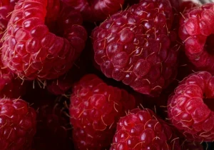 Raspberries up close, meant to represent healthy ingredients